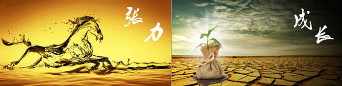 企業(yè)發(fā)展要學(xué)會(huì)取他人之長、補(bǔ)自己之短